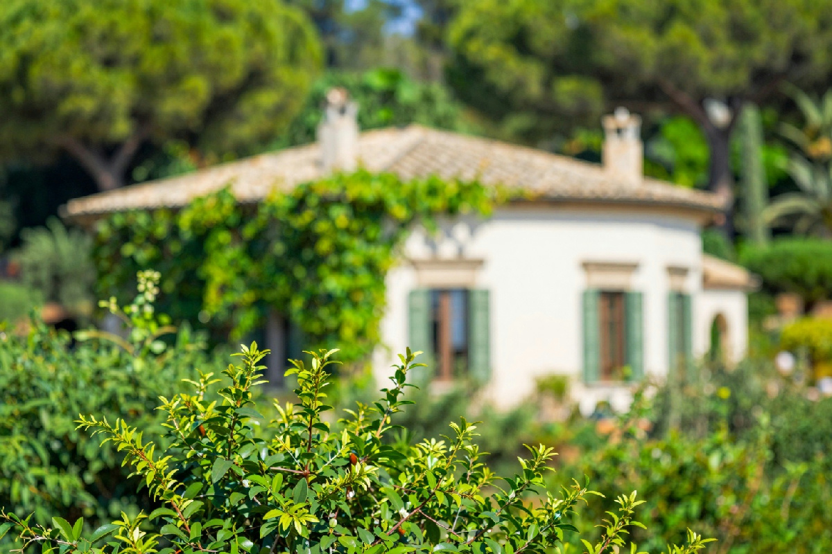 Scopri esperienze autentiche in una villa immersa nel verde, dove Taranto rivela la bellezza italiana nascosta